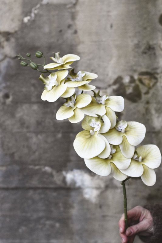 Orkide 95 cm