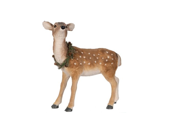 Hovedbilde Dåhjort Hind 