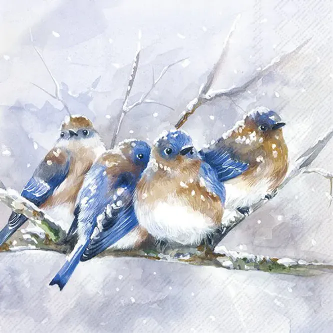 Hovedbilde Servietter Cuddly Birdies Blue Lunch	