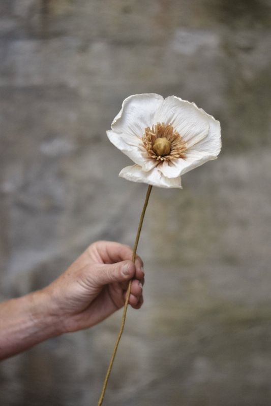 Papirblomst valmue 30 cm hvit