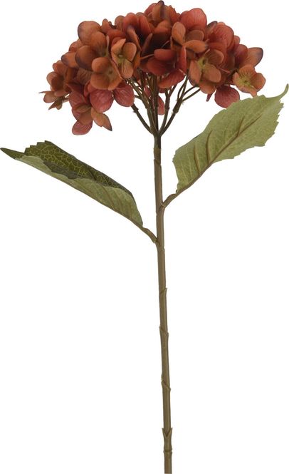 Hovedbilde Blomst Hortensia m/kvist H60 4 ass