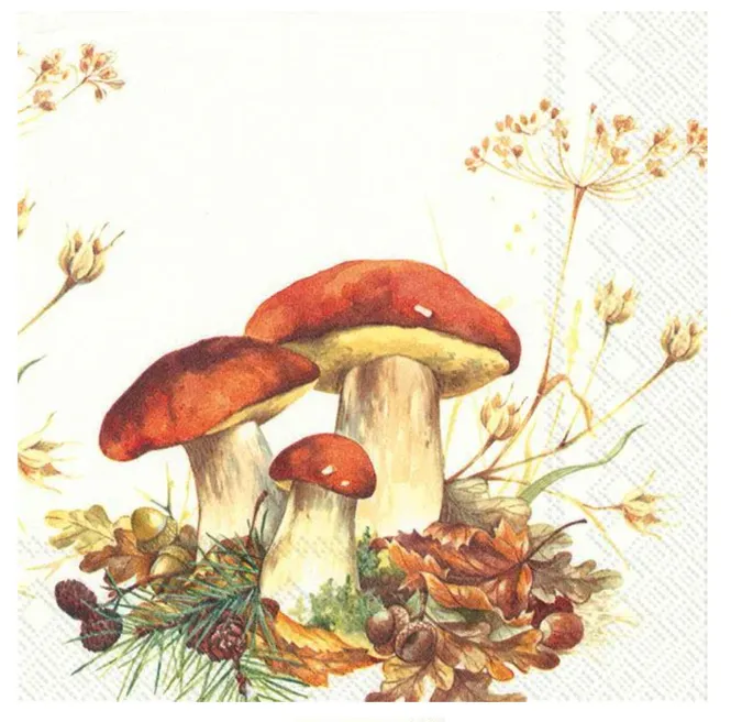Hovedbilde Serviett Boletus Edulis Lunsj