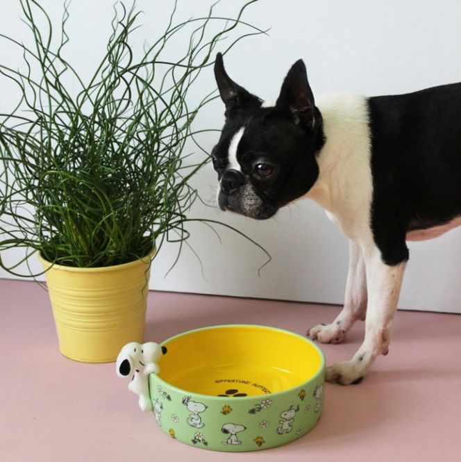 Hovedbilde Snoopy Dog Bowl