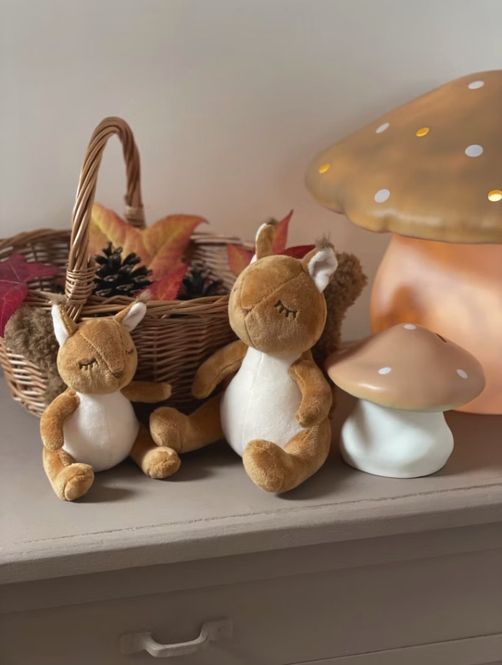 Hovedbilde Pam Ekorn liten