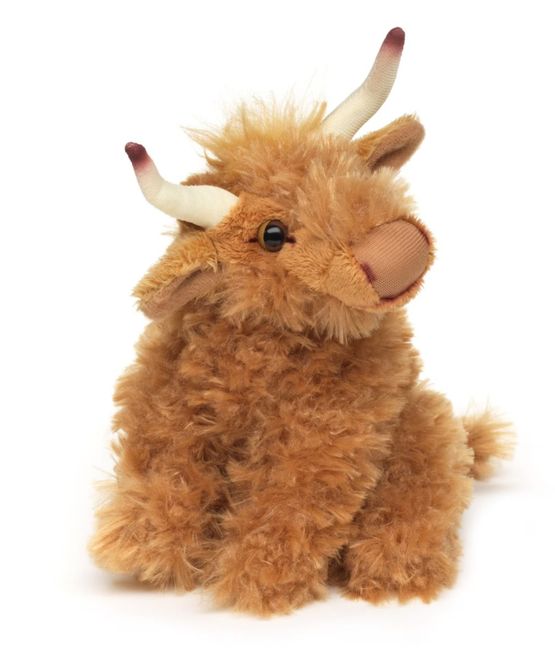 Hovedbilde Sittende skotsk Highland cow
