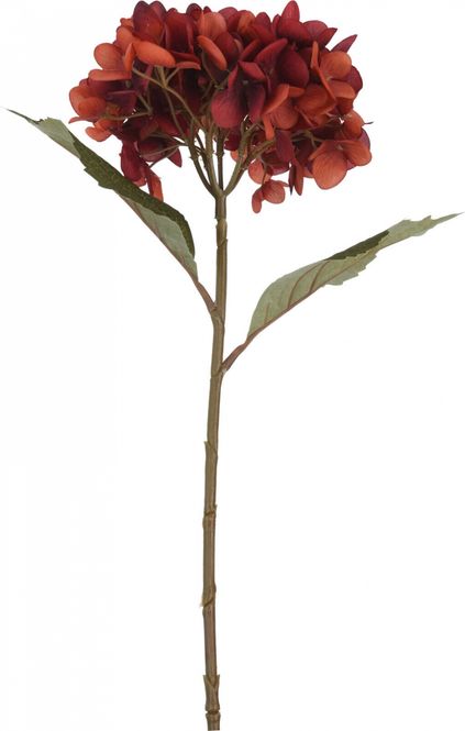 Hovedbilde Blomst Hortensia m/kvist H60 4 ass