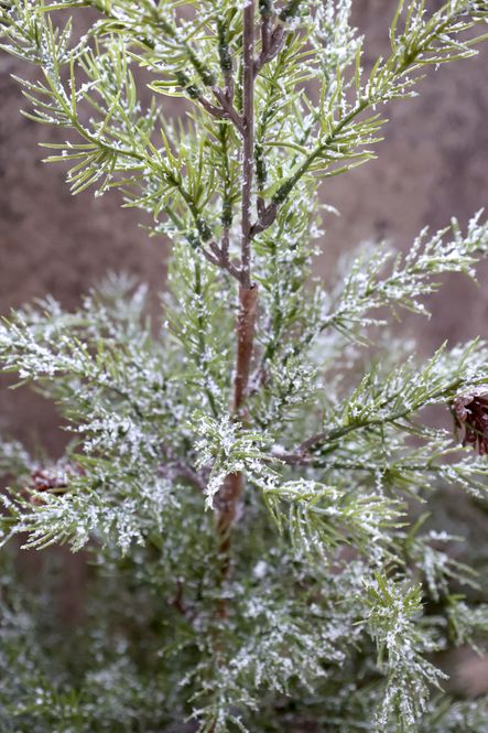 Hovedbilde Fleur Grantre m. kongler og snø 120cm