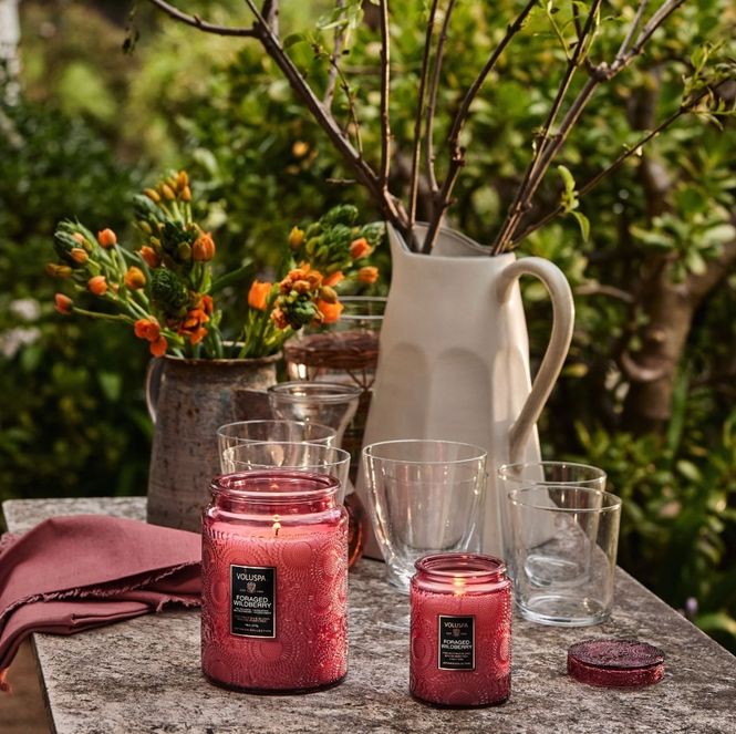 Hovedbilde Small Jar Candle 50t Foraged Wildberry