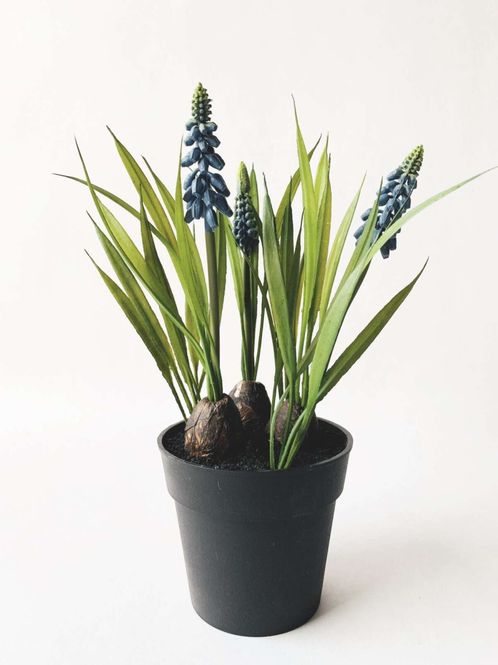 Hovedbilde Perleblomst i potte 29 cm