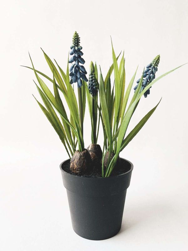 Perleblomst i potte 29 cm