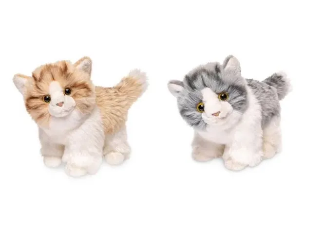 Hovedbilde Katt 2 varianter