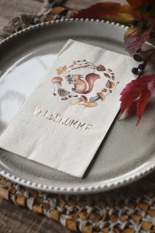 Serviett Velbekomme - ekorn - 33x44 cm