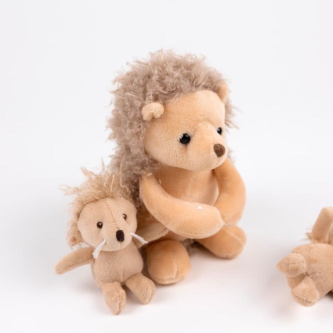 Hovedbilde Pinnsvinmamma med tvillinger