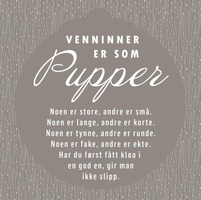 Hovedbilde Serviett Pupper venninne